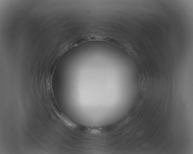 X0000081490285200701121120