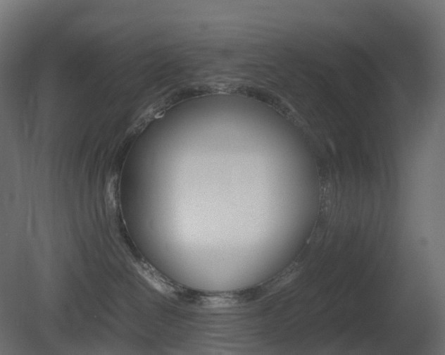 X0000081490286200701121120