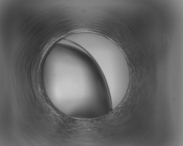X0000081490289200701121120