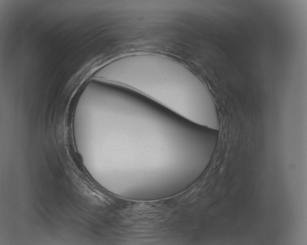 X0000081490290200701121119