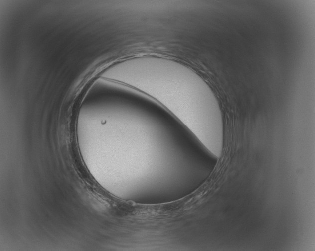 X0000081490291200701121119