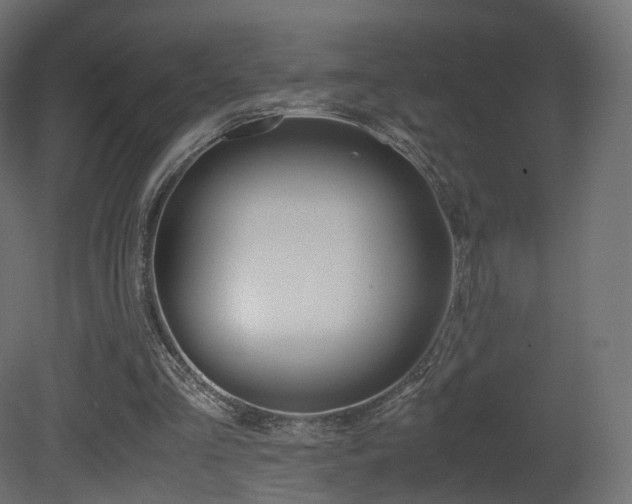 X0000081490293200701121119