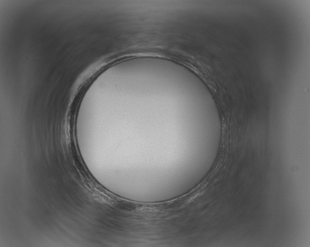 X0000081490294200701121119