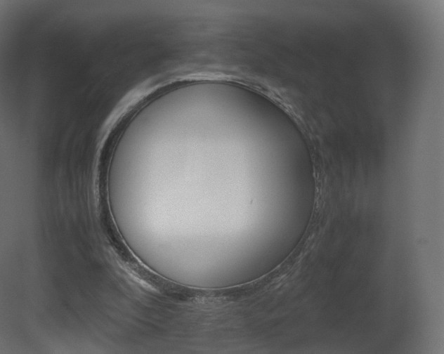 X0000081490296200701121119