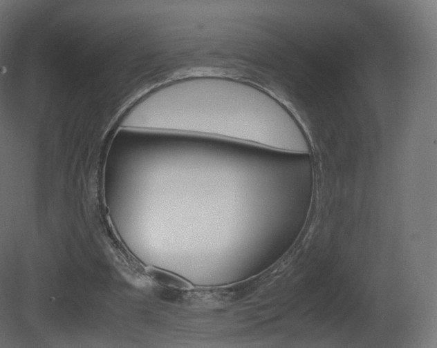 X0000081490297200701121119