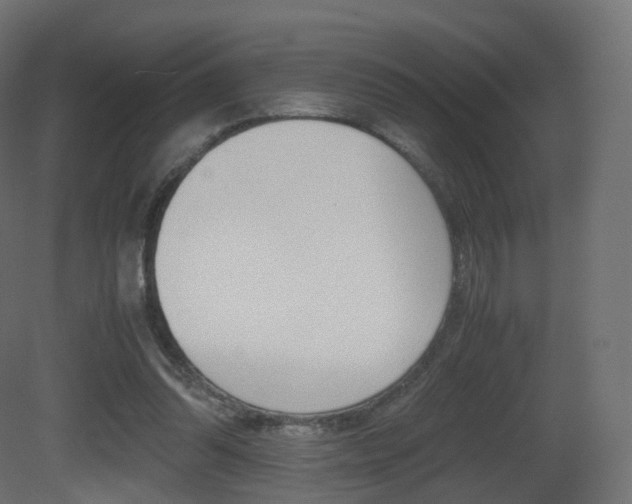 X0000081490302200701121119