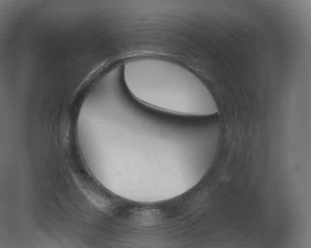 X0000081490304200701121119