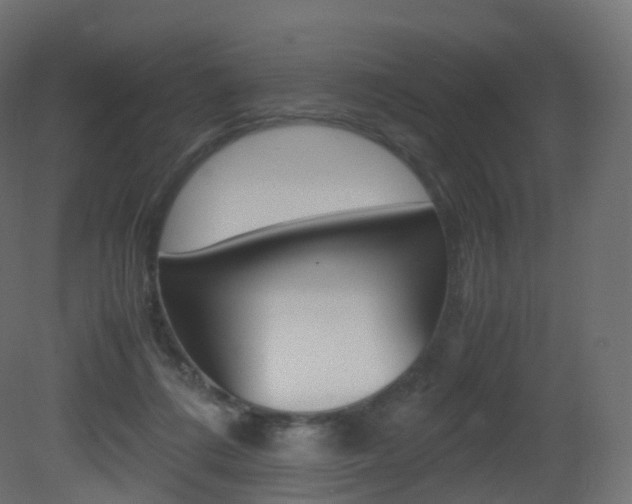 X0000081490312200701121119