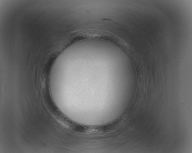 X0000081490315200701121119
