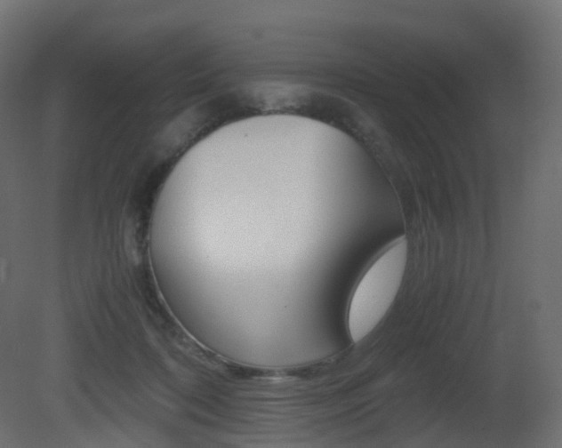 X0000081490316200701121119