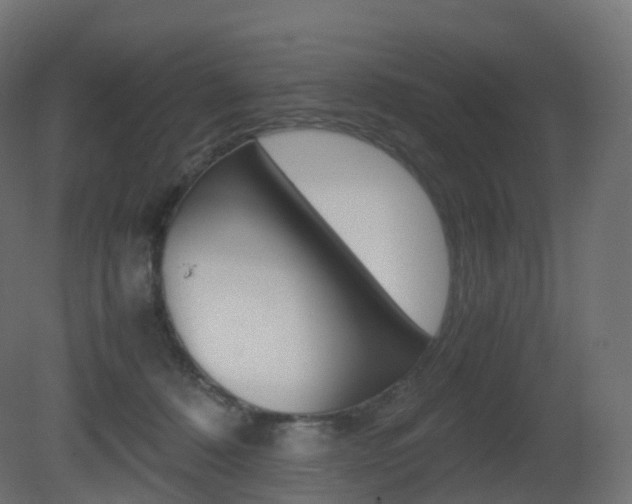X0000081490320200701121119