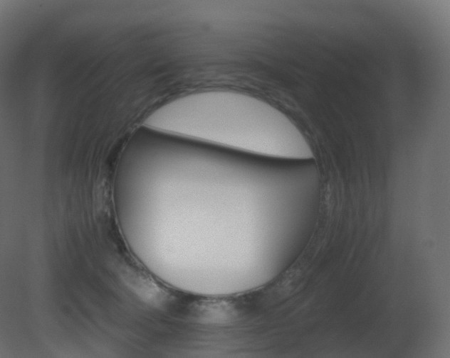 X0000081490322200701121119