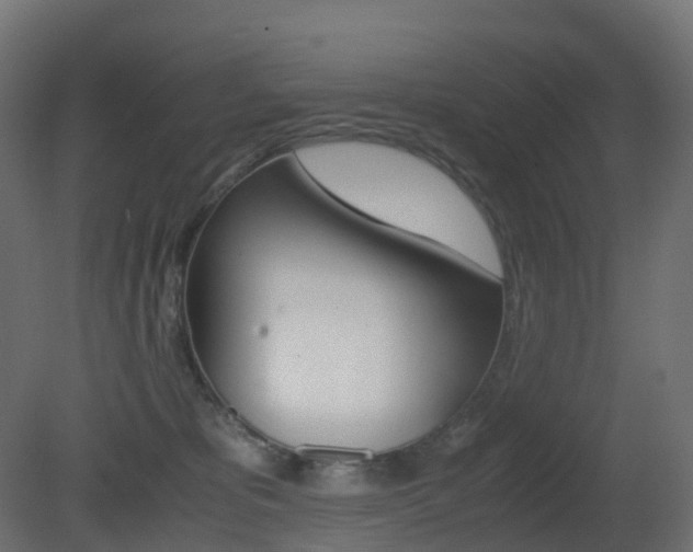 X0000081490325200701121119