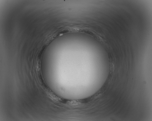 X0000081490331200701121119