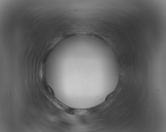 X0000081490334200701121119