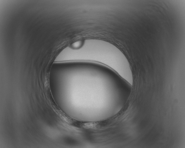 X0000081490335200701121119