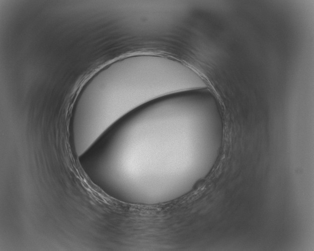 X0000081490337200701121118