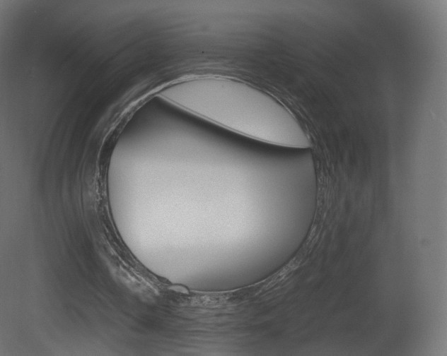 X0000081490338200701121118