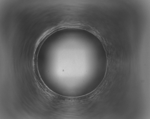 X0000081490340200701121118