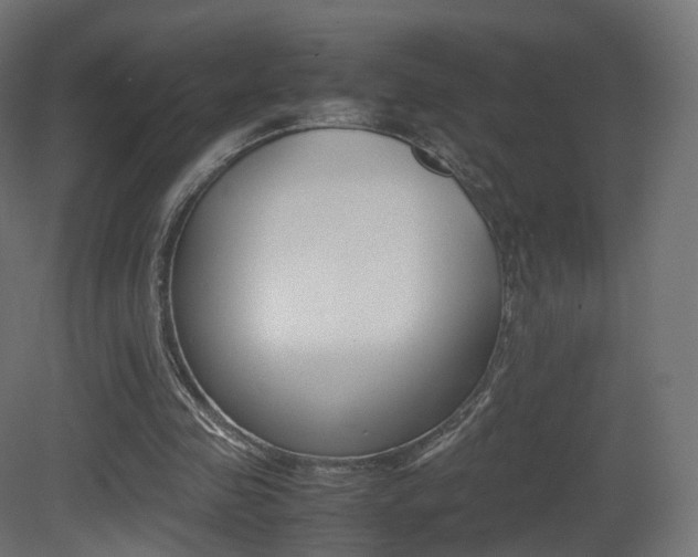 X0000081490341200701121118