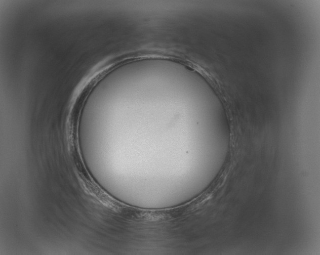 X0000081490343200701121118