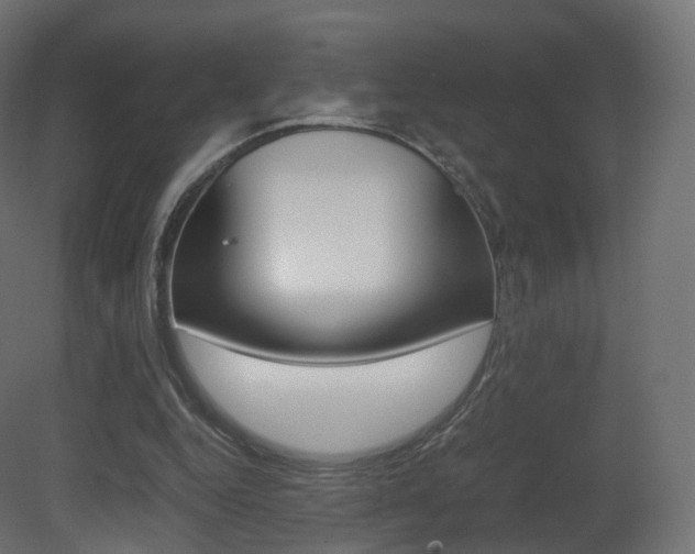 X0000081490344200701121118