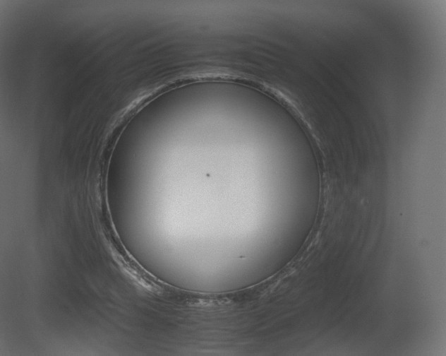 X0000081490345200701121118