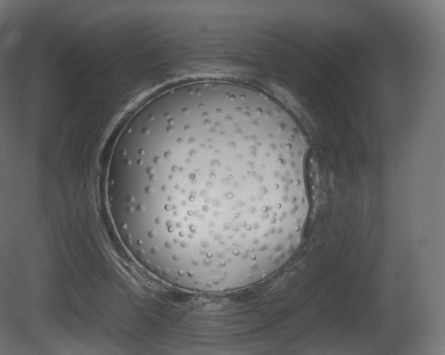 X0000081490346200701121118