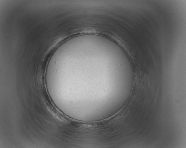 X0000081490347200701121118