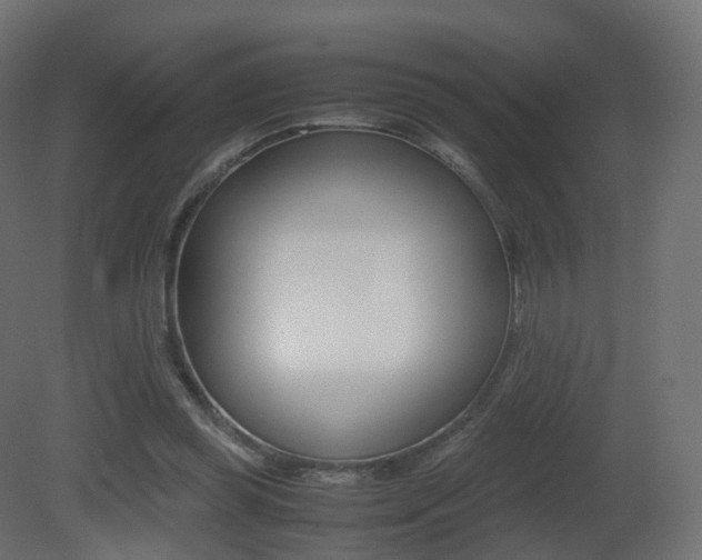 X0000081490349200701121118