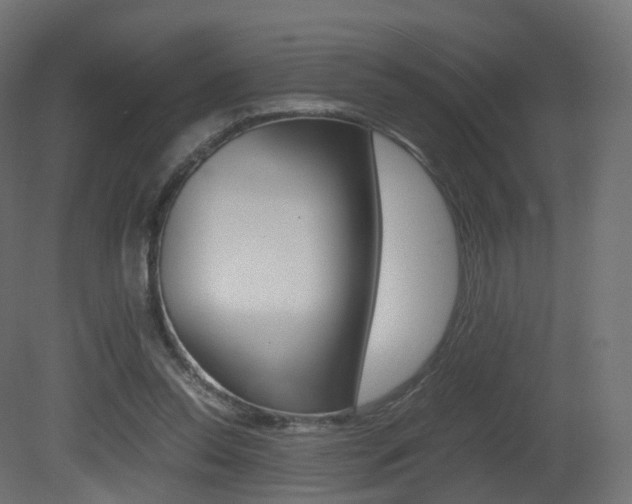 X0000081490350200701121118