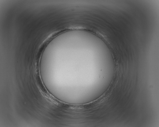 X0000081490351200701121118