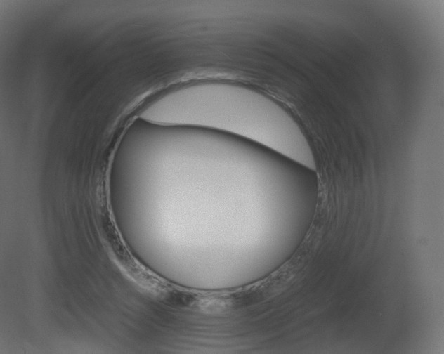 X0000081490352200701121118