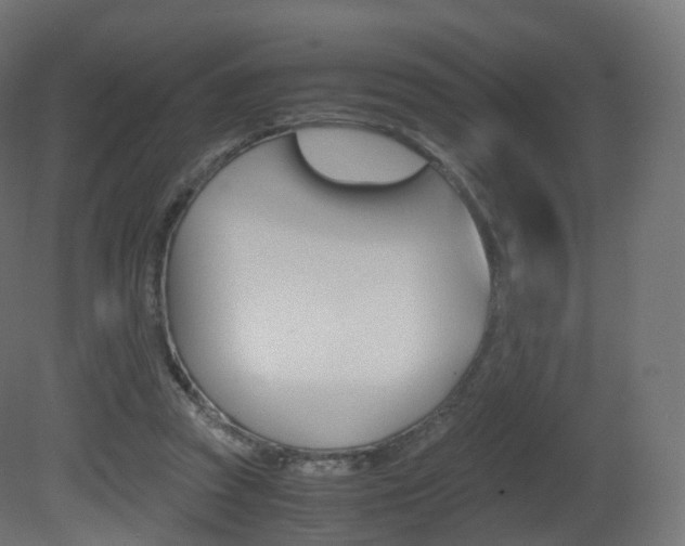 X0000081490353200701121118