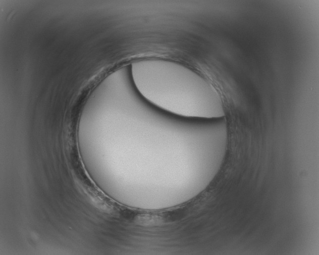 X0000081490354200701121118