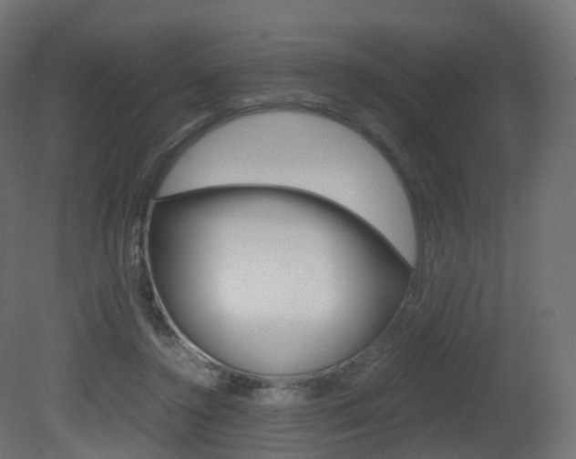 X0000081490356200701121118