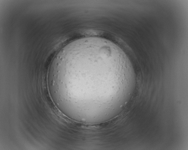 X0000081490359200701121118