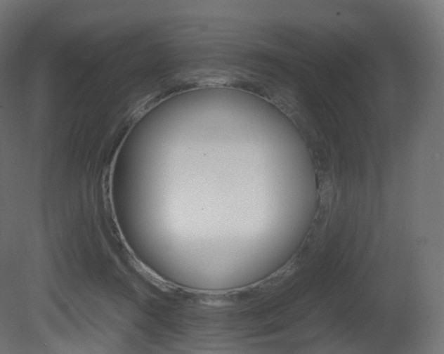 X0000081490360200701121118