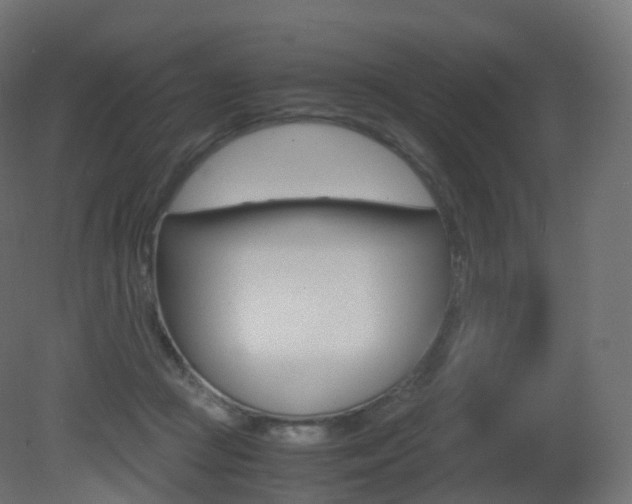 X0000081490361200701121118