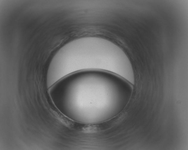 X0000081490362200701121118