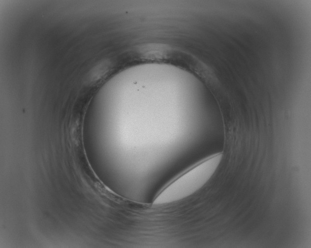 X0000081490364200701121118