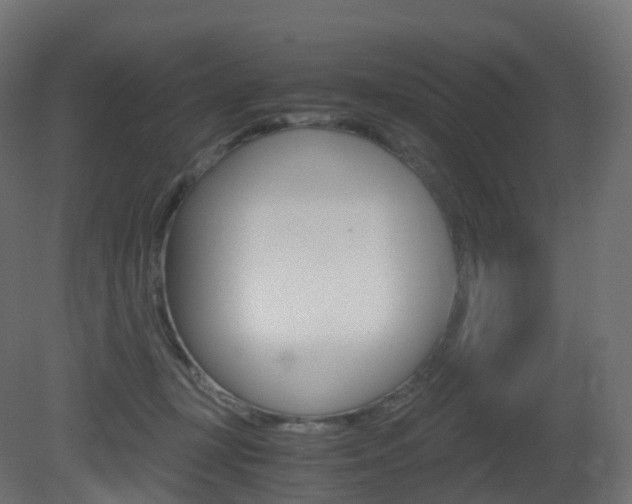 X0000081490367200701121118