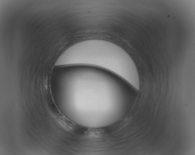 X0000081490368200701121118