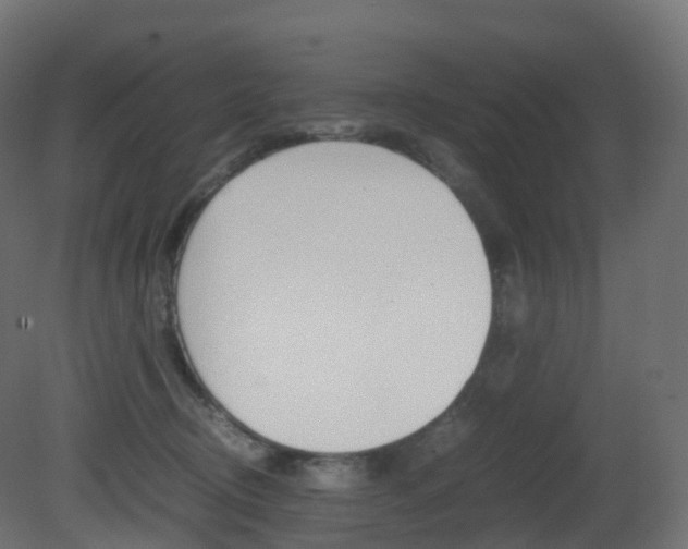 X0000081490370200701121118