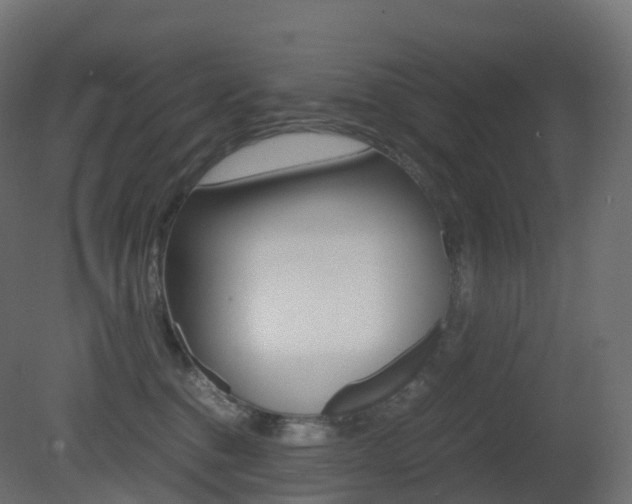 X0000081490376200701121119
