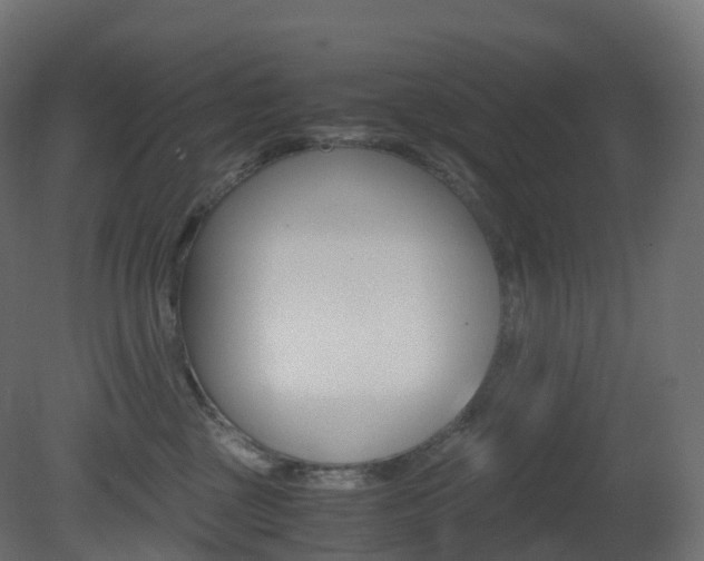 X0000081490377200701121119