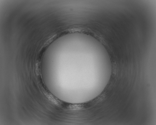 X0000081490378200701121119