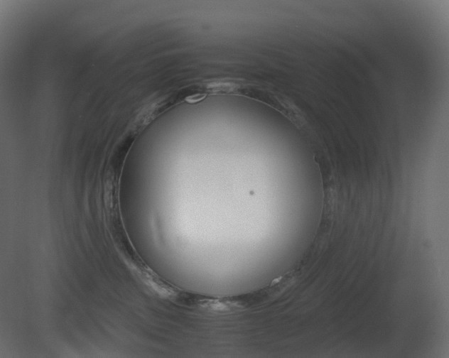 X0000081490379200701121119