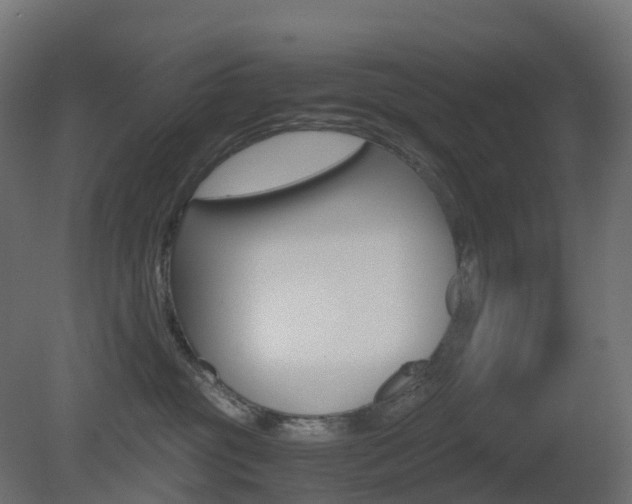 X0000081490381200701121119