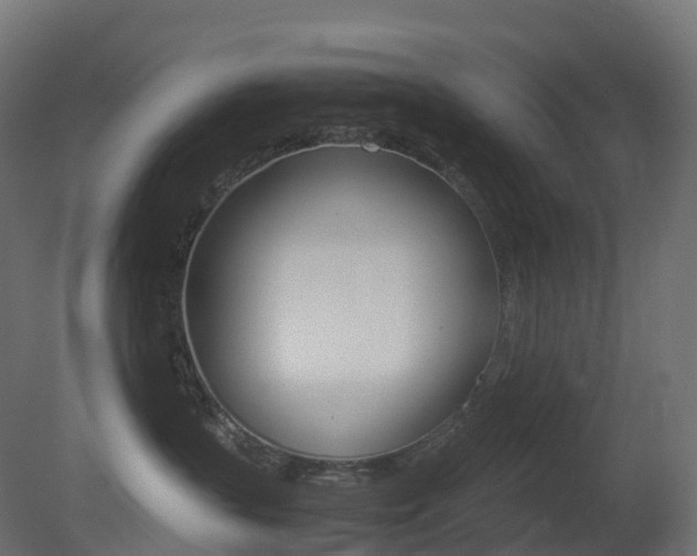X0000081490383200701121119